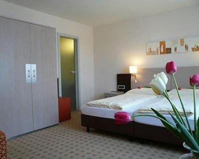 фото отеля Hotel Alfa Birsfelden