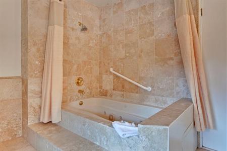 фото отеля Holiday Inn Laguna Beach