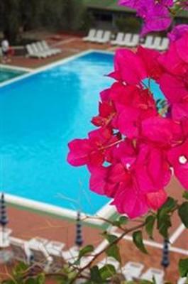 фото отеля Hotel Torre Oliva