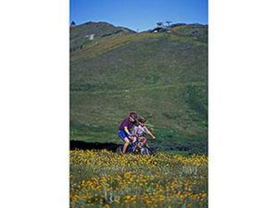фото отеля Mount Buller Chalet Hotel and Suites