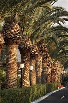 фото отеля Cretan Malia Park