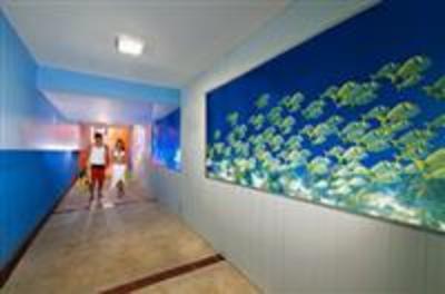 фото отеля Hotel Cozumel & Resort