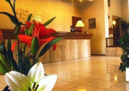 фото отеля Gran Princess Hotel Mendoza