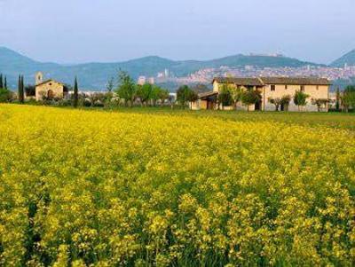 фото отеля Valle Di Assisi Hotel & Resort