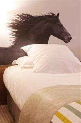 фото отеля Best Western Hotel Du Parc Chantilly