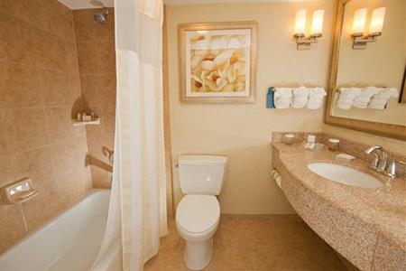 фото отеля Hilton Garden Inn Lake Buena Vista/Orlando