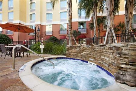фото отеля Hilton Garden Inn Lake Buena Vista/Orlando
