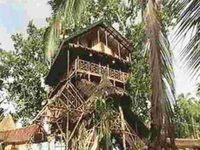 Treehouse Village Resort