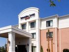 фото отеля Springhill Suites by Marriott - St. Petersburg/Clearwater