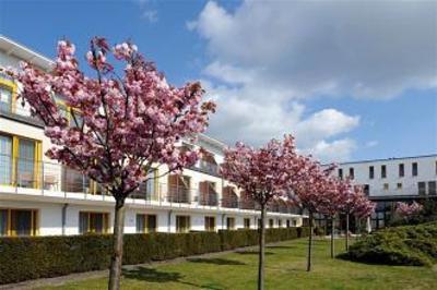 фото отеля Hotel Vier Jahreszeiten Zingst
