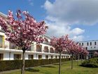 фото отеля Hotel Vier Jahreszeiten Zingst