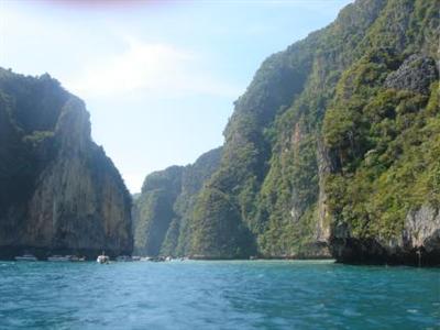 фото отеля The Krabi Forest Homestay