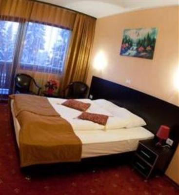 фото отеля Carpatic Villa