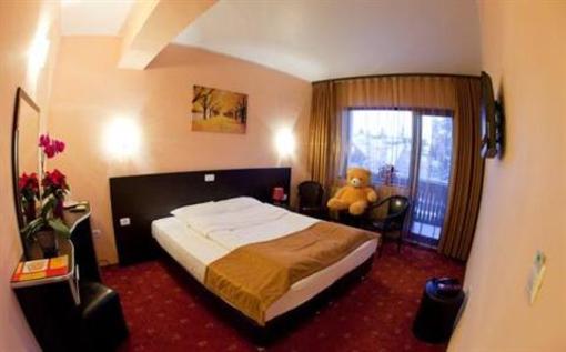 фото отеля Carpatic Villa