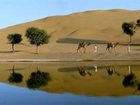 фото отеля Khimsar Sand Dunes Village