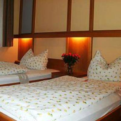 фото отеля Gasthof Landhotel Gruener Baum