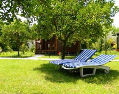 фото отеля Armina Pension