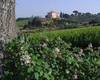 фото отеля Relais Villa Grazianella Hotel Montepulciano