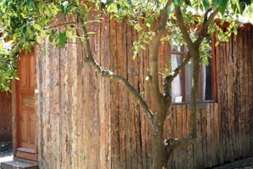 фото отеля Saban Treehouses