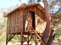 Saban Treehouses