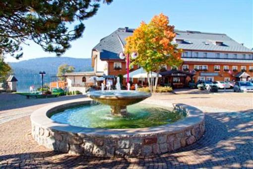 фото отеля Hotel Schiff Schluchsee