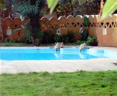 фото отеля The Krishna Jungle Resort Kanha