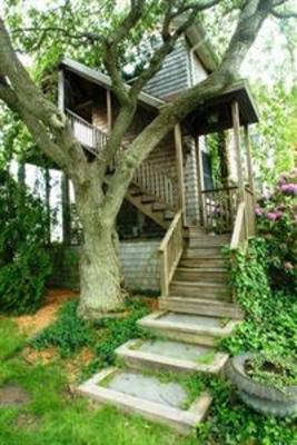 фото отеля Linden Point House
