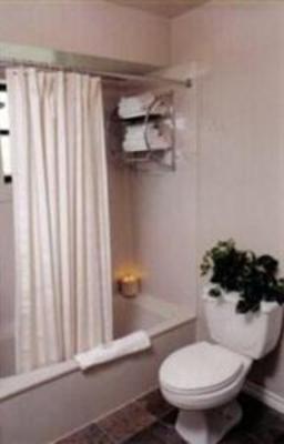 фото отеля Vineyard Court Designer Suites Hotel