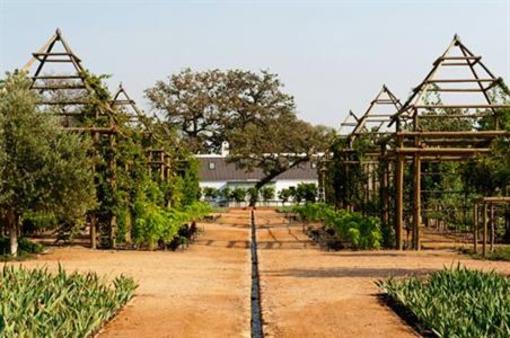 фото отеля Babylonstoren