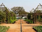 фото отеля Babylonstoren