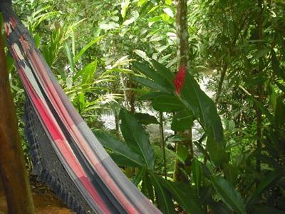 фото отеля Pousada Recanto das Aguas