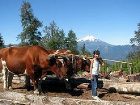 фото отеля Mirador los Volcanes