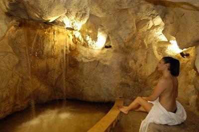 фото отеля Hotel Leonardo Da Vinci Terme & Golf