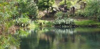 фото отеля Orchid Grove Country Lodge