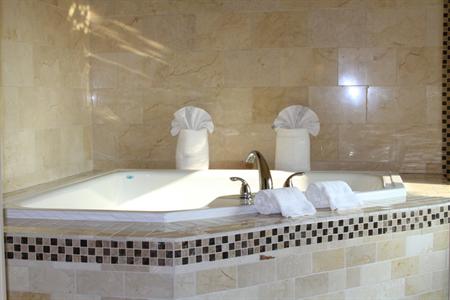 фото отеля Comfort Suites DFW Airport South