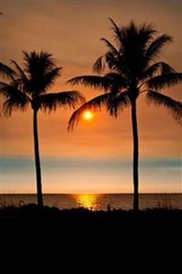 фото отеля The Naples Beach Hotel & Golf Club