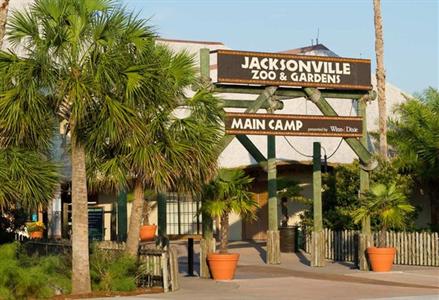 фото отеля Hilton Garden Inn Jacksonville Airport