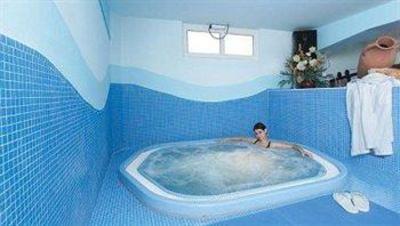 фото отеля Hotel Elena Saint-Vincent (Italy)