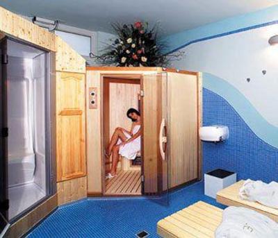 фото отеля Hotel Elena Saint-Vincent (Italy)