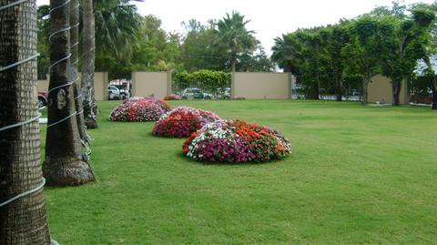 фото отеля Best Western Hotel Los Mochis