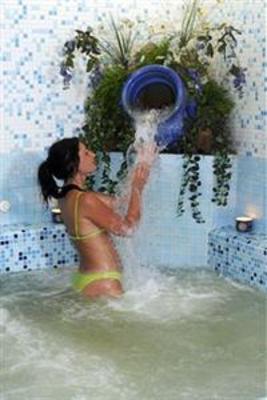 фото отеля Hotel Giardino delle Ninfe e La Fenice