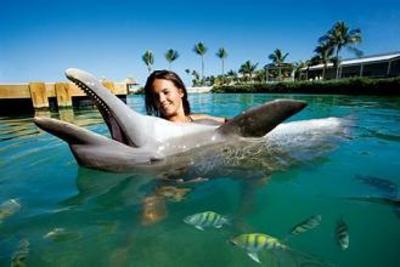 фото отеля Duck Key Vacation Rentals