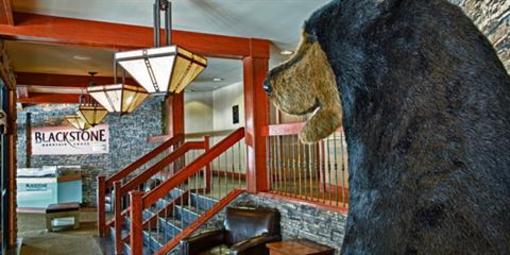 фото отеля Blackstone Mountain Lodge
