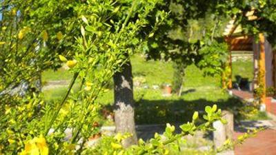 фото отеля Il Cavicchio Agriturismo