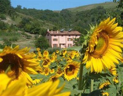 фото отеля Il Cavicchio Agriturismo