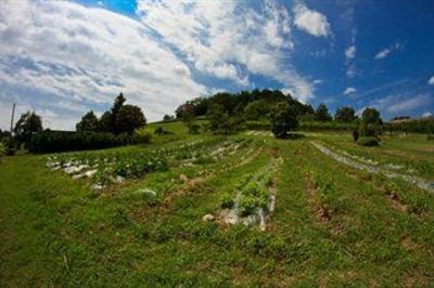 фото отеля Il Cavicchio Agriturismo