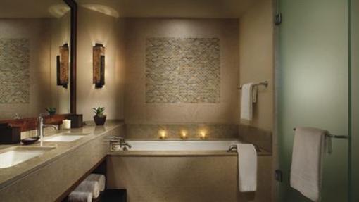 фото отеля The Ritz-Carlton Dove Mountain