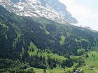 фото отеля Tschuggen Hotel Grindelwald