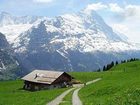 фото отеля Tschuggen Hotel Grindelwald