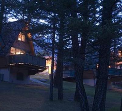 фото отеля Douglas Fir Resort & Chalets